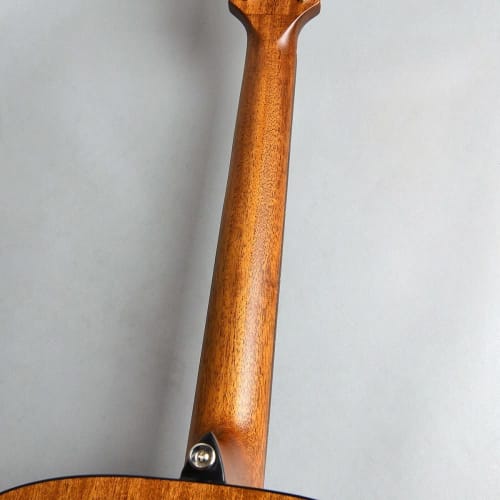 Zemaitis CAG-100HS-E Acoustic-Electric Guitar, Forest Green