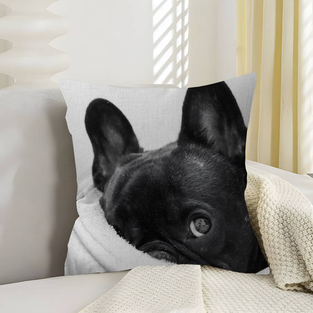Anime French Bulldogs Lucky Dragon Pillow Cover Sofa Cushion Cover Home Room Decoration Children Gift
