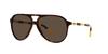 RALPH LAUREN PH4173-500373 Glasses. Sunglasses, Color Brown. Man.