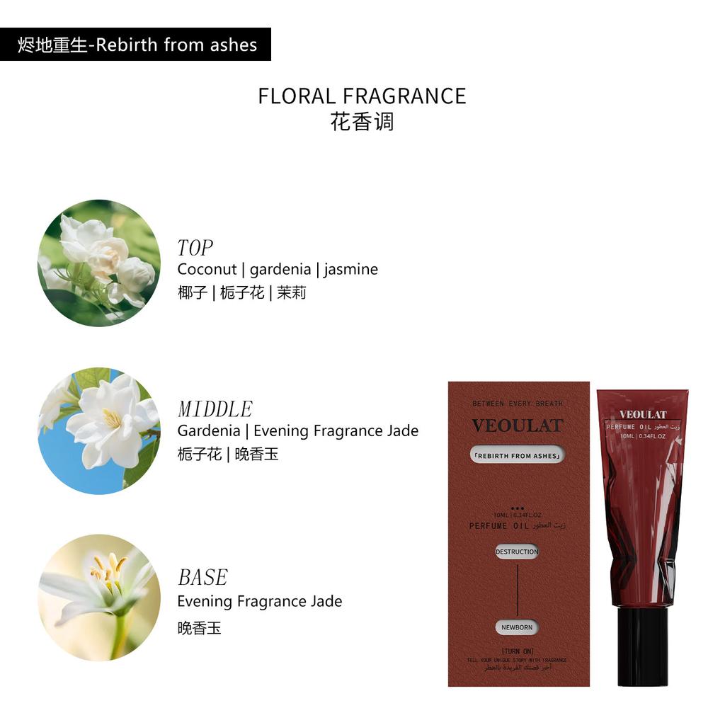 Platform bestsellers, long-lasting fragrance, luxury brand alternatives, affordable perfumes for men and women, high-end in stock