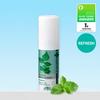 DENTISTE Spray Alito Fresco 15ml