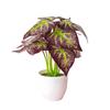 Yellow Potted Plant Brown Fake Plant Flowers Floral Décor