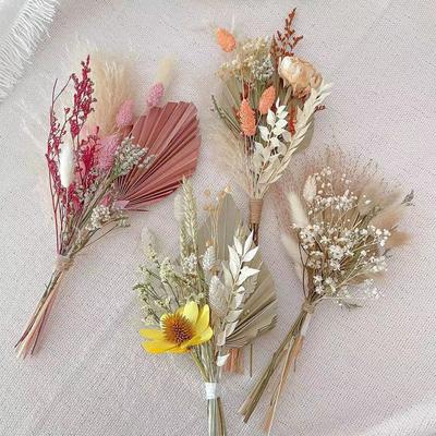 Queue de Lièvre Roseau Pampa Pampa Bouquet Séché Décoration de Maison Cadeau Bouquet de Fleurs Séchées