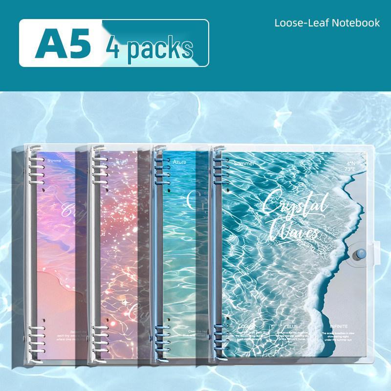 Detachable Transparent Leather Binder with 5 Notebooks for High School Students - 2026 Edition