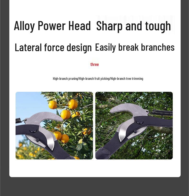 Telescopic High-Branch Pruner & Saw for Fruit Picking and Tree Pruning