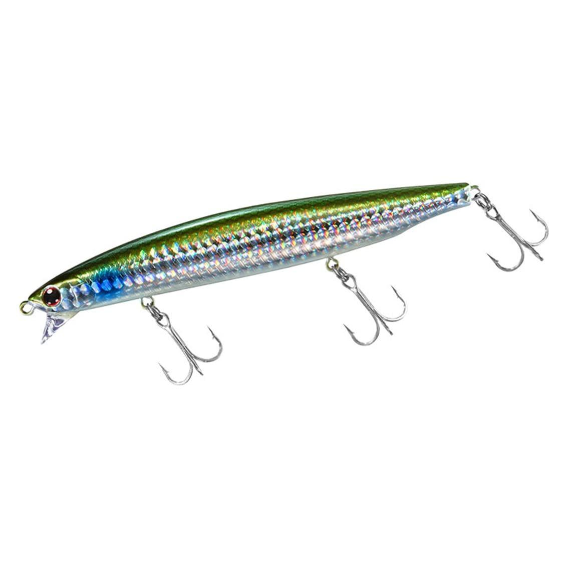 

DAIWA Shoreline Shiner Z Vertis R 3D Inakko R125F-SSR