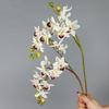 Real Touch Artificial Phalaenopsis Branches 2 Fork Fake Flowers  Garden Decoration