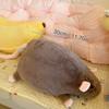 Cute Mice Doll Cartoon Plush Flower Branch Rat Doll Soft Animal Figure Simulation Stuffed Animal Grey Brown Mouse Rat Plush Toy