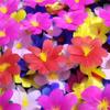 Manica a Fiore Prop di Karate: Foulard di Seta si Trasforma in Fiori di Piume a Raggi di Sole (Versione 6)