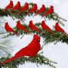 9 Cm Feathers Simulation Lifelike Craft Bird Artificial Birds Christmas Ornaments Xmas Tree Decor