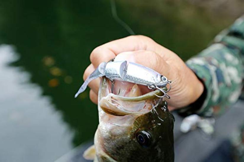 SHIMANO Bantam Bt Bait 99SS Kyoringill 013 Freshwater Lure Plug for and Rivers (SHIMANO) ZR-599T Bass, Lakes, Dams, Ponds,