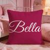 BBelleS Classic Brand Cushion Cover Premium Comfort Reversible Pillow Cove Two In One Design For Any Room  Car Interior