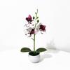 Butterfly Orchid Artificial Plant Home Decor With Plastic Leaves For Living Room And Office