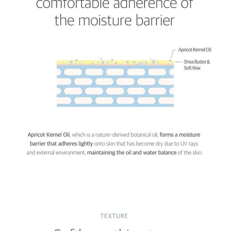 ROUND LAB - Mugwort Calming Cream