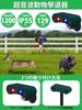 Latest Ultrasonic Solar Animal Cat and Bird Repellent 129dB Standby Solar IP55 1200mAh Powerful LED Infrared 8m Detection Bird and Pest Rodent [2025