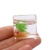 Dollhouse Toy Miniature Fish Tank Miniature Fish Bowl Dollhouse Miniature Glass Fish Tank Model