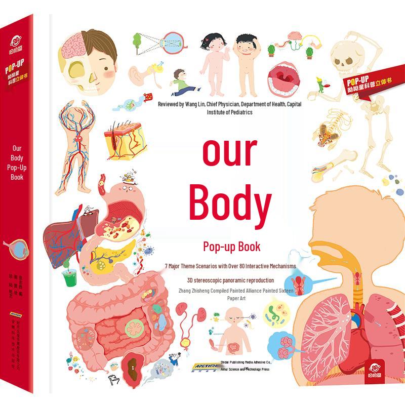 Our Body Pop-up Book