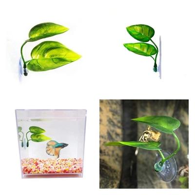 Poissons et animaux marins – Décoration d’aquarium