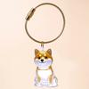 Transparent Cat Hair Storage Box Charm Gacha Cat Hair Storage Capsule Commemorative Collection Bag Keychain Pendant