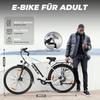 Electric Bicycle Varun S700 27.5" 250W Motor City Electric Bike For Adult 48V 10.4AH Dual Disc Brake Max Load 150Kg