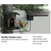 Smart Solar-Powered Bird Feeder with AI Camera & Waterproof Battery for WiFi Connectivity