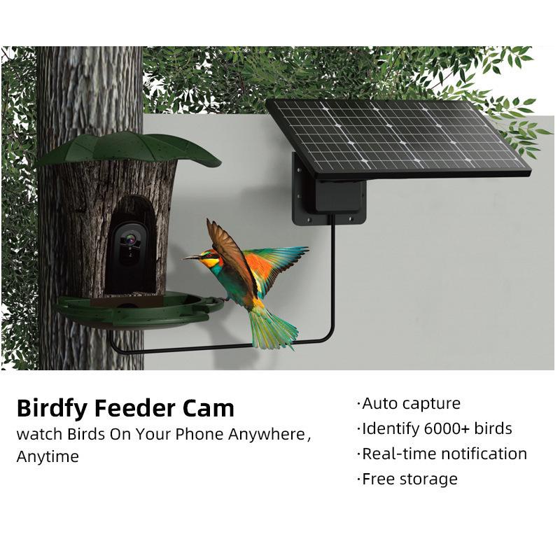 Smart Solar-Powered Bird Feeder with AI Camera & Waterproof Battery for WiFi Connectivity
