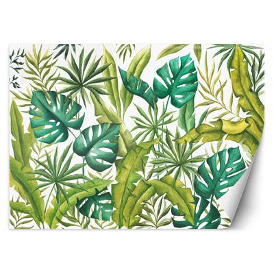 Tapete Monstera Blätter