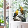 Self-adhesive Static Cling Window Stickers Realistic Macaw Parrot for Living Room Balcony Glass Decor
