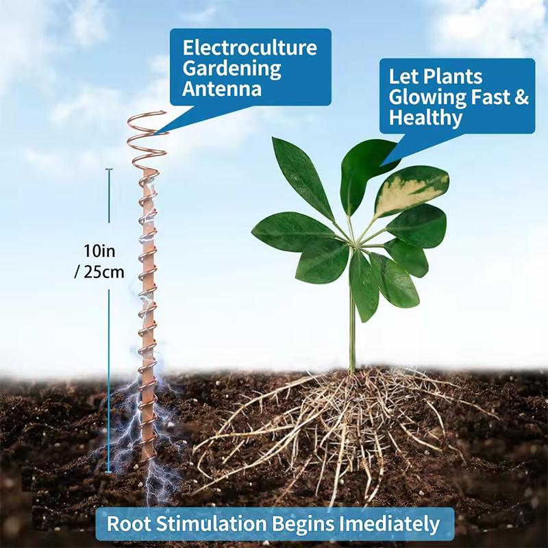 Confezione da 1/4 di Antenna da Giardinaggio in Rame per Elettrocoltura - Filo di Rame Puro, Picchetti da Giardino in Rame per Coltivare Piante (12 pollici)