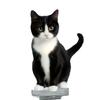 Car Dashboard Decorations Dancing Cats Dashboard Ornaments Car Interior Accessories Shaking Cats Bobblehead Car Decors