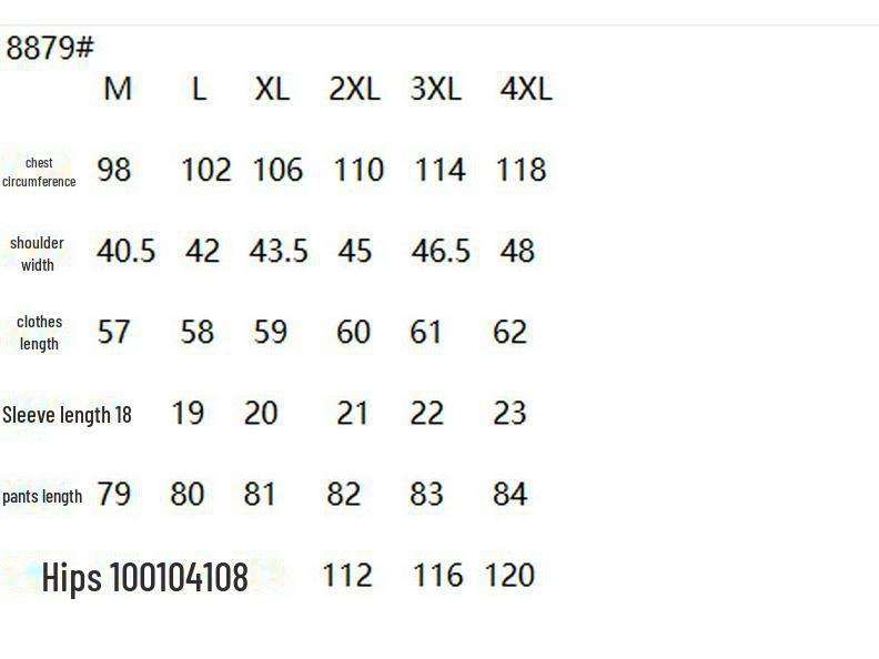 2025 Casual Plus-Size Summer Two-Piece Set: Loose Short-Sleeved Top & Trousers