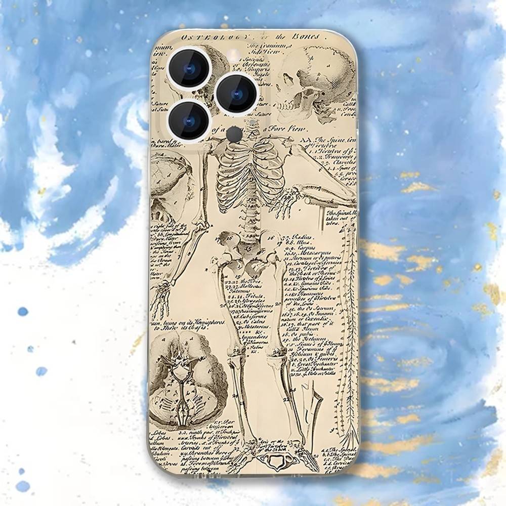 Medical Human A-Anatomy Clear Phone case suitable for iPhone 11 12 13 14 15 16 17 Pro Max Plus X XS XR SE E Mini Protective Case