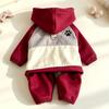 Waterproof Dog Hooded Jumpsuit Color-Block Dog Four Legged Clothes Winter Dog Clothes  Outdoor