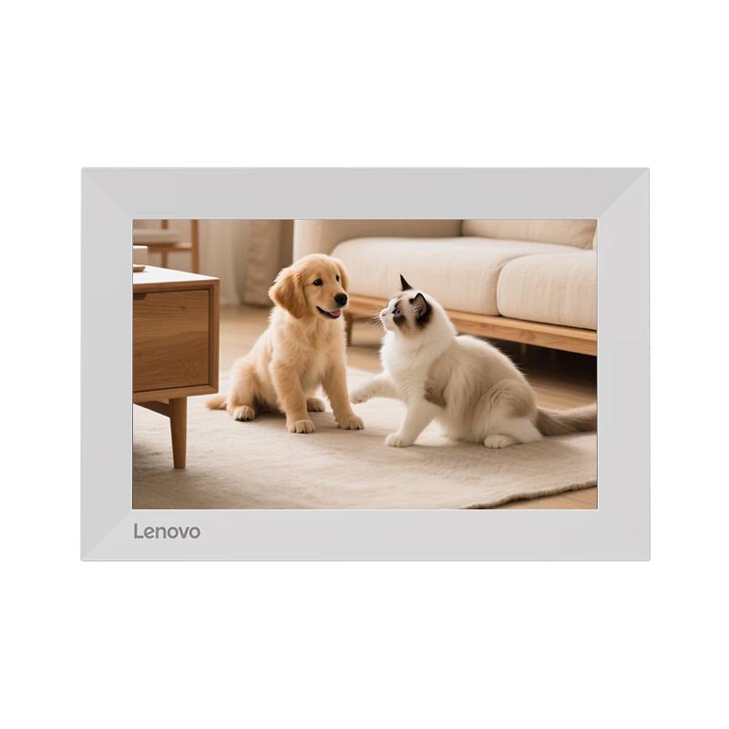 Lenovo D10 10.1-inch Smart Digital Photo Frame