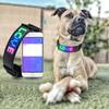 LED Display Pet Collar App Control Luminous Glowing Pet Dog Collar for Night