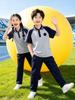 Liaoning Shenyang Primary School Summer Uniform Set for Students - Multi-piece, All-Season Wear