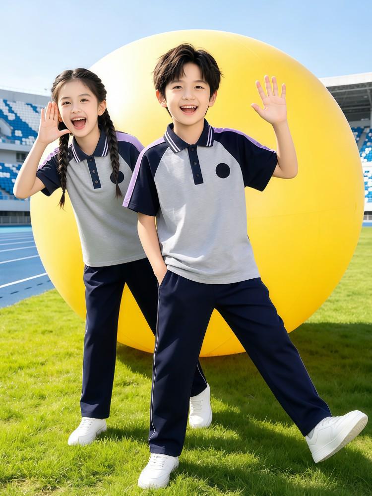 Liaoning Shenyang Primary School Summer Uniform Set for Students - Multi-piece, All-Season Wear