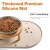 Elevated Cat Bowls with Food Mat6.3 Inches Shallow Raised Bowls Whisker Friendly 2 Stainl Steel Cat Food and Water Dishes for C