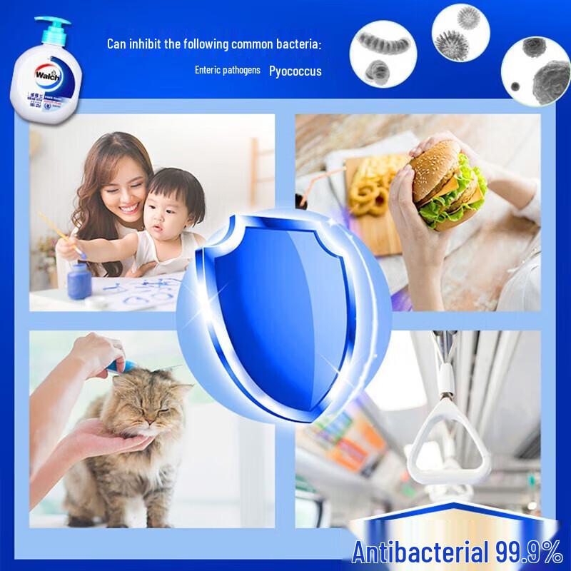 Walch Healthy Antibacterial Hand Wash 4-Piece Set