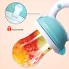 4Pcsset Silicone Fruit  Vegetable Feeder For Infants And Toddlers 6-36 Months Food Grade Teething  Feeding Pacifier