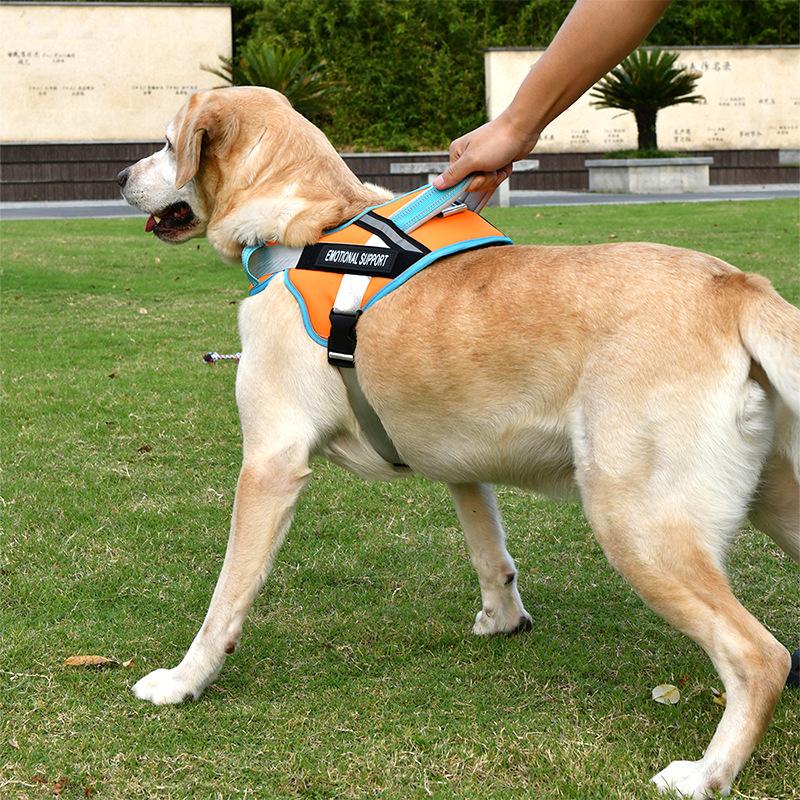 Dog Leash Large  Medium and Small Chest Strap Vest Type Large  Medium and Small Dog Comfortable and Breathable Dog Leash
