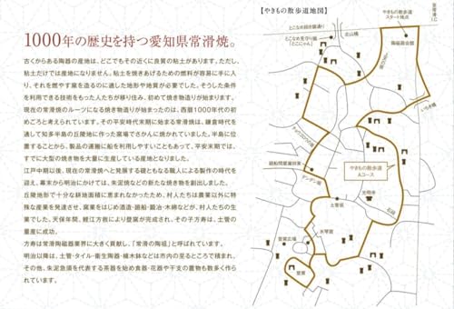 J-kitchens Tokoname-yaki Teekanne, Hergestellt in Japan, Schick Modern, 260cc (Yakishime)