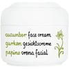 Crème Visage - ZIAJA - Gurke - 50ml - Peaux Grasses - Sans Paraben - Vitamines A, E, B5