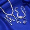 Jewelry Full Diamond Zircon Necklace Earrings Bracelet Ring Set Chain Wedding Dress Jewelry