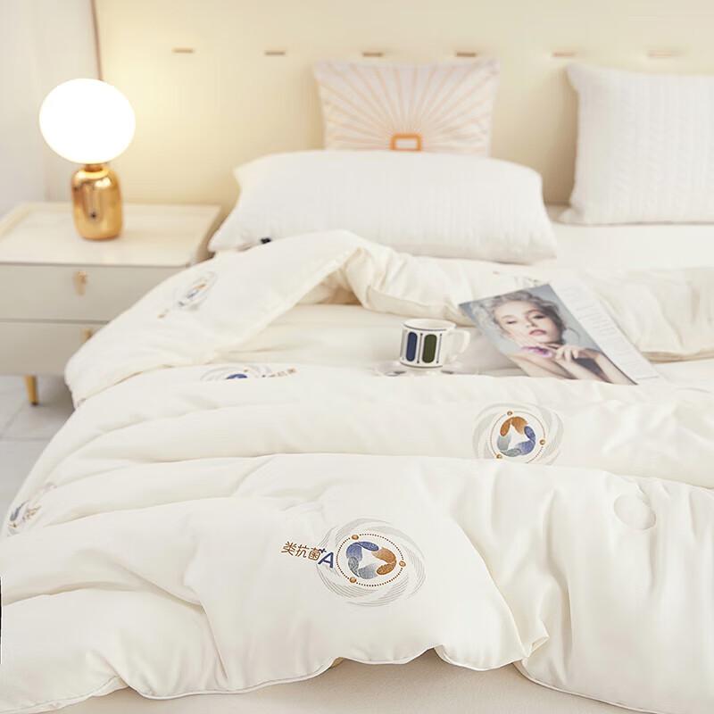 3A Antibacterial Warm Velvet Quilt