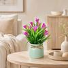 Mini Simulated Potted Plant, Maintenance-Free Desktop Decor, Rustic Style Mini Flower Pots, for Office Bathroom Bookshelf Spaces