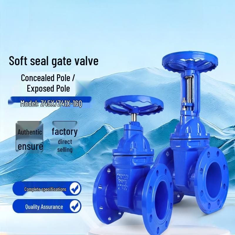 DN125 Flanged Soft Seal Open Stem Gate Valve