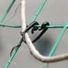 1000Pcs Vines Lashing Hook Grape kiwi Cucumber Tomato Stem Fasten Clips Vegetable Fruit Branch Tied Buckle Climbing Supporting