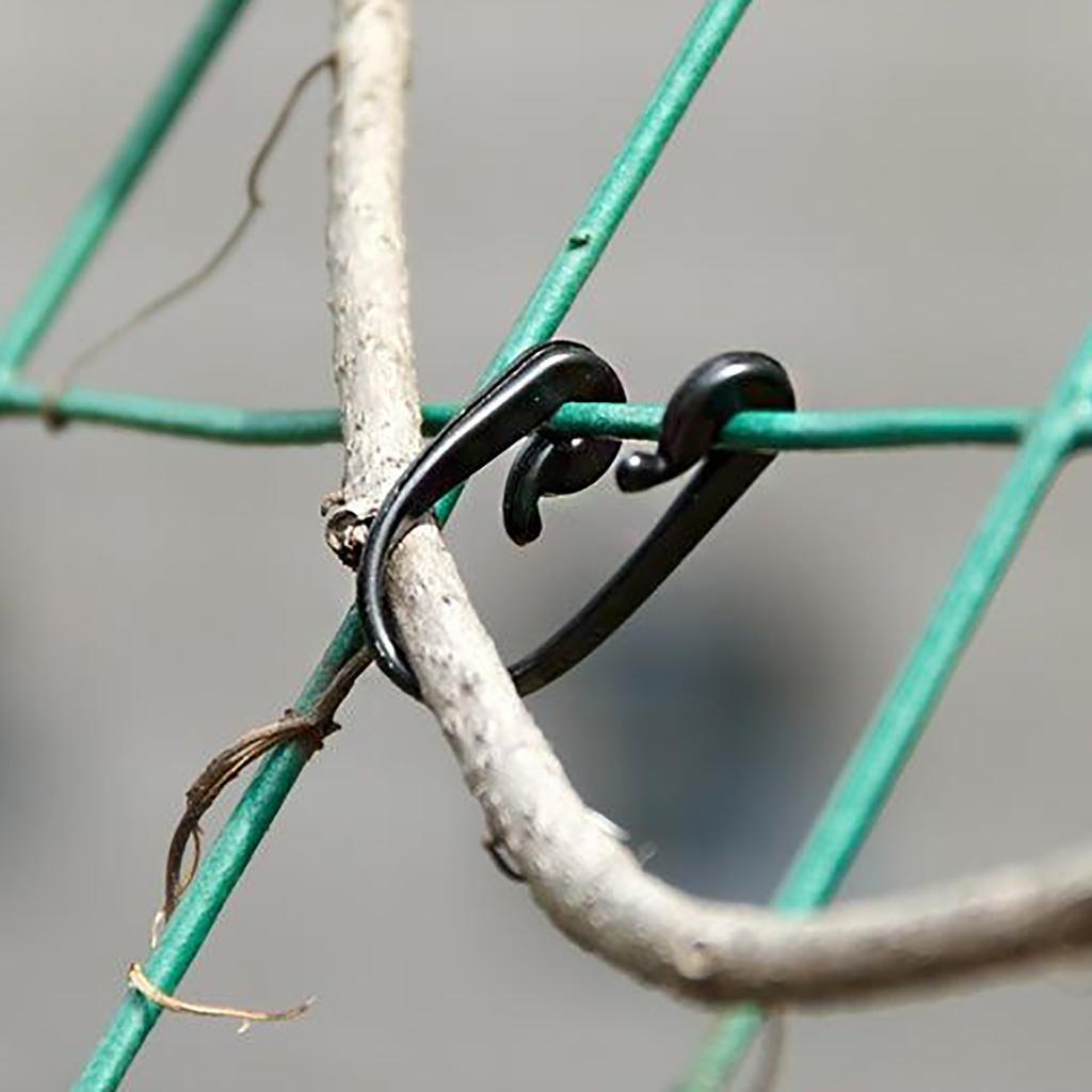 1000Pcs Vines Lashing Hook Grape kiwi Cucumber Tomato Stem Fasten Clips Vegetable Fruit Branch Tied Buckle Climbing Supporting