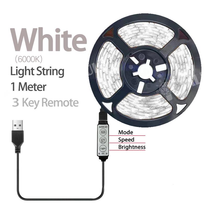 

2M LED Light String 60 Leds Computer Desk DIY Backlight 24 Key Remote Control RGB Multicolor Tape Home Decoration Light Strip